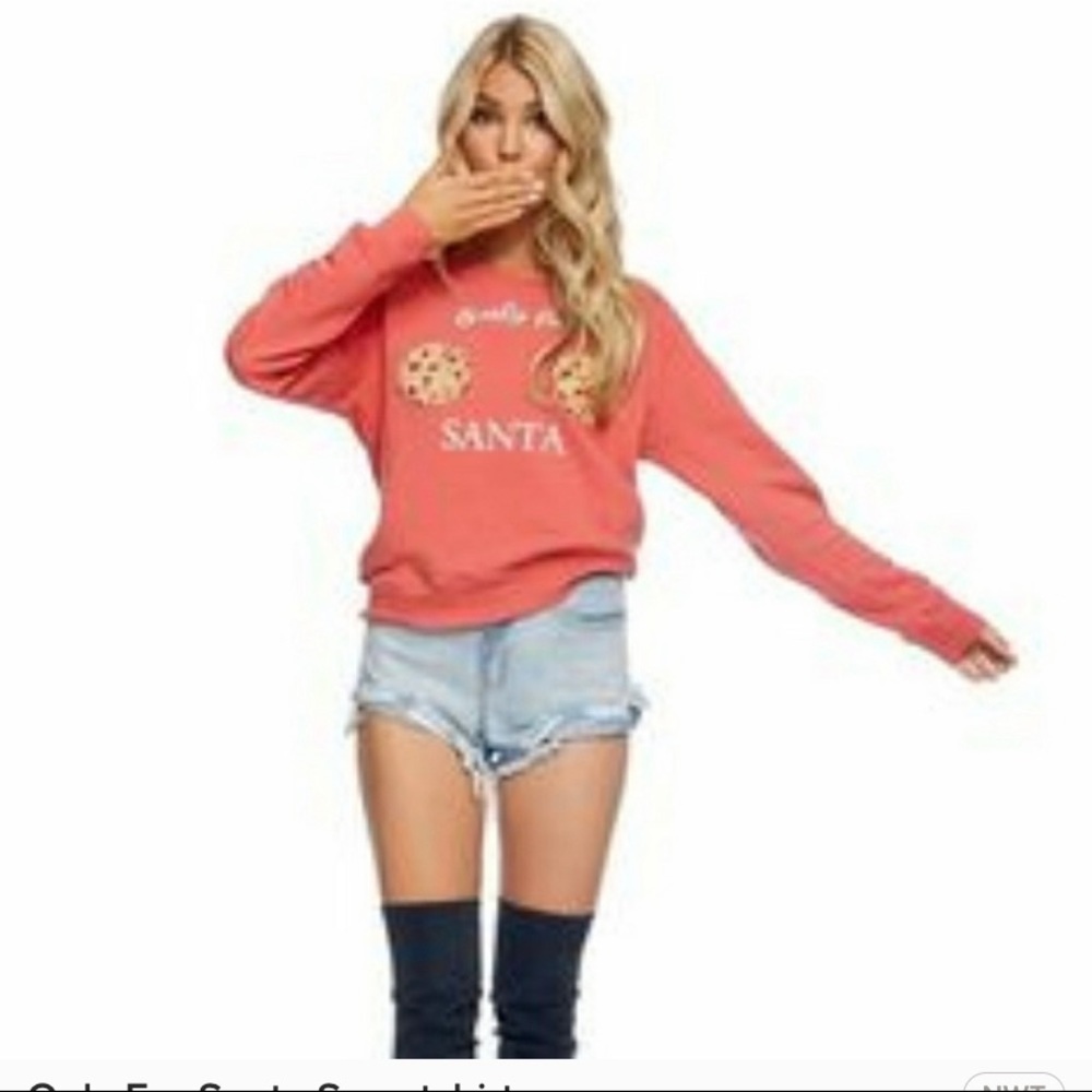 Kittenish Cookie Sweater Large